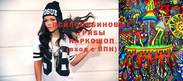 PSILOCYBIN Богородицк