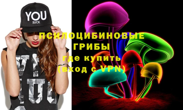 PSILOCYBIN Богородицк