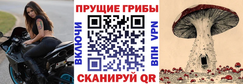 Псилоцибиновые грибы Cubensis  блэк спрут как войти  Иноземцево  наркошоп 