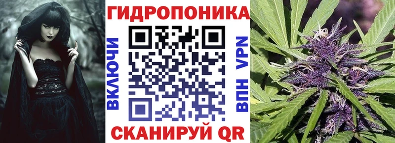где можно купить   Иноземцево  Канабис Ganja 
